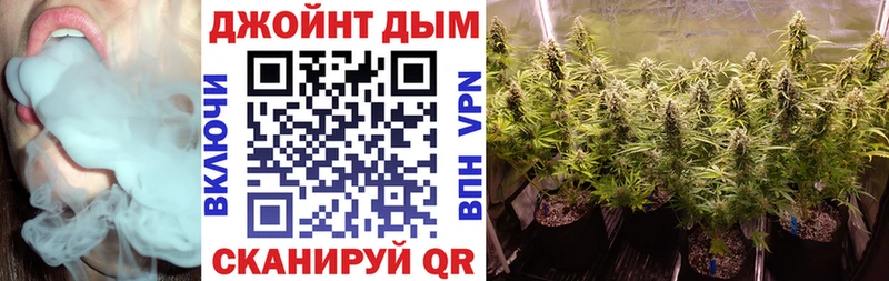 MEGA как зайти  как найти закладки  Рудня  Канабис тримм 